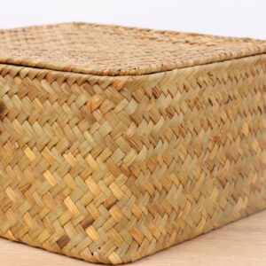 Moosky Wicker Shelf Baskets with Lid, Handwoven Seagrass Storage Basket Bins Square Gift Boxes for Shelves Home Decor Organizer (Natural, X-Small)