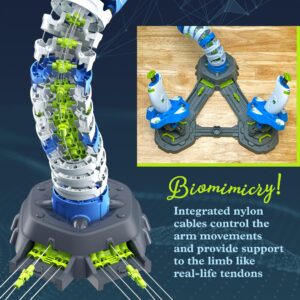 Thames & Kosmos Bionic Robotic Arm STEM Experiment Kit, Toy of The Year Finalist, Build a Mechanical Arm, No Batteries/Motors Required | Innovative System | Ages 10+ with Help, 14+ Independent Play