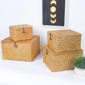 Moosky Wicker Shelf Baskets with Lid, Handwoven Seagrass Storage Basket Bins Square Gift Boxes for Shelves Home Decor Organizer (Natural, X-Small)