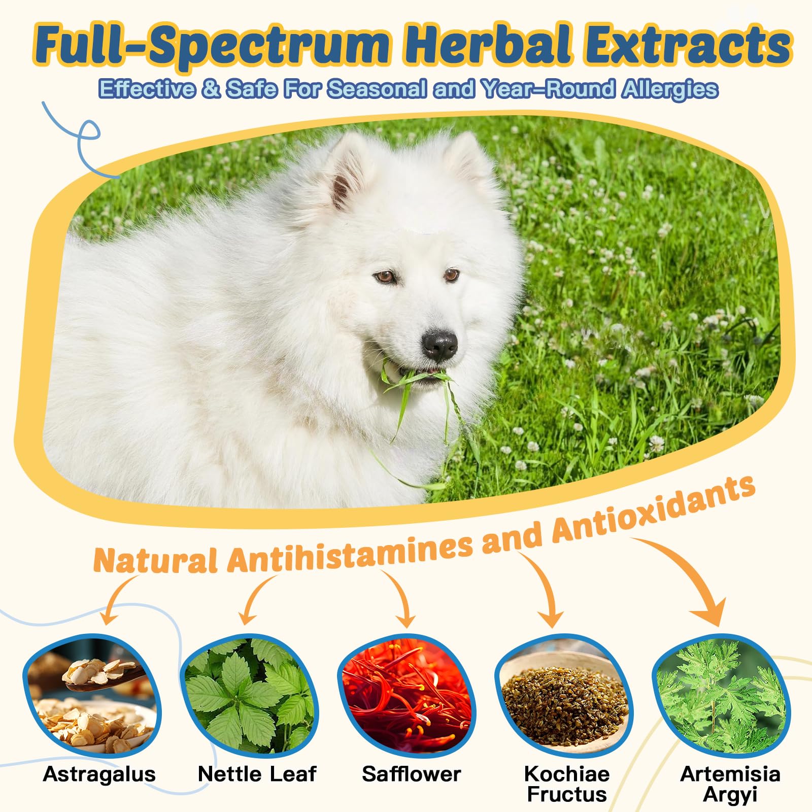 Dog Allergy Relief Chews, with Probiotics, Omega 3, Colostrum - Dog Itching Skin & Ears Relief, Herbal Dog Skin & Coat Supplement, Gut & Immune Support, Hot Spot Treatment, Anti Seasonal Allergies