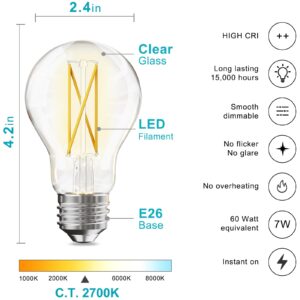 TJOY 12 Pack A19 Vintage LED Edison Bulbs, Dimmable Light Bulb 60W Equivalent, High Brightness 2700K Warm White, 7W E26 Standard Base, 800Lumens, CRI80+, Clear Glass Filament Bulb for Home, Farmhouse