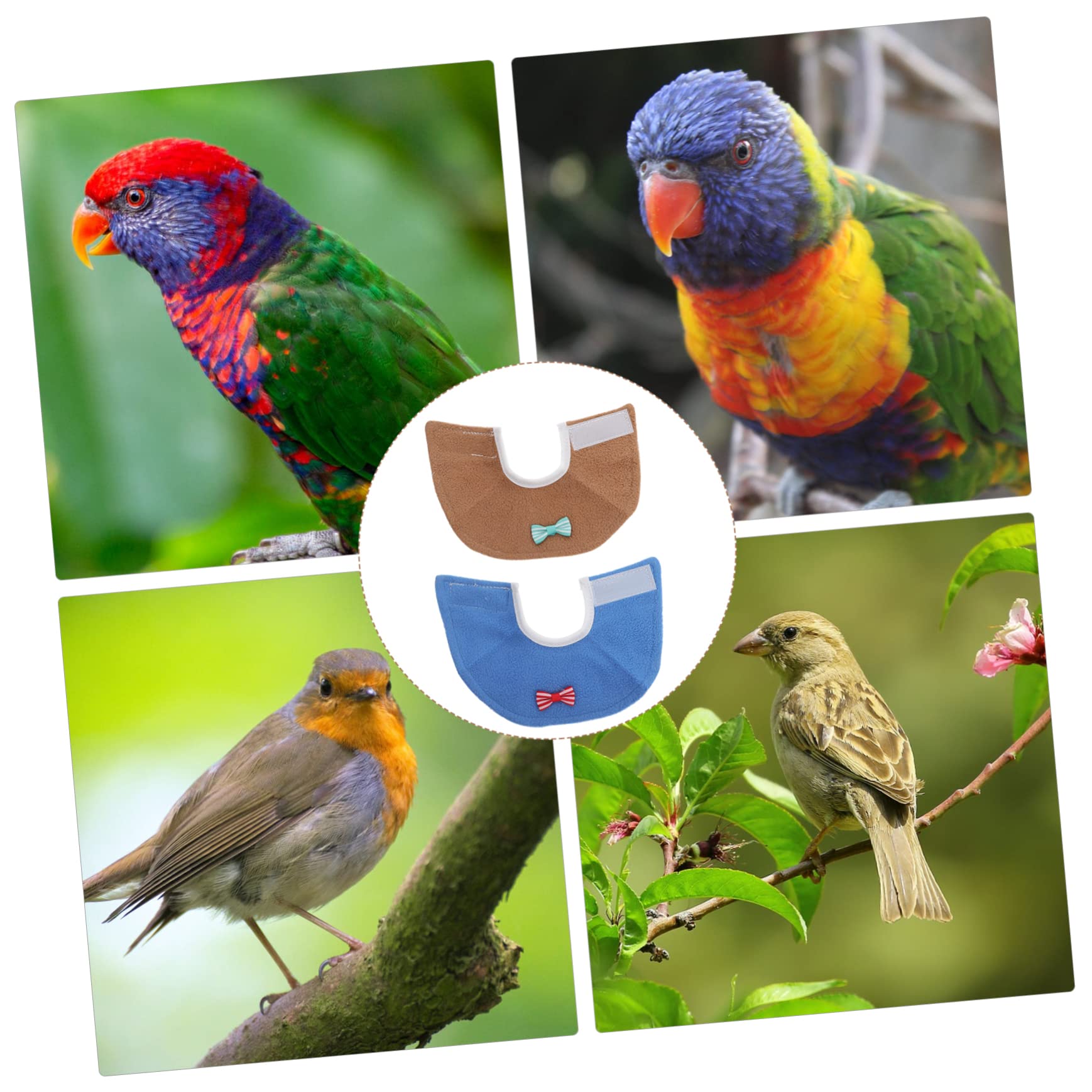 Beavorty 4 Pcs Collar Parrot Accessories -Pecking Neck Bird Neck Protector Parrot Neck Cone Puppy Healing Cone Puppy Cone Bird Neckbands Elizabeth Bird Parakeet Pet for Birds Felt Cloth