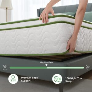 Novilla California King Mattress, 12 InchGel Memory Foam Hybrid Mattress with Pocketed Coil for Pressure Relief & Motion Isolation, Medium Firm Cali King Mattress in a Box, Amenity