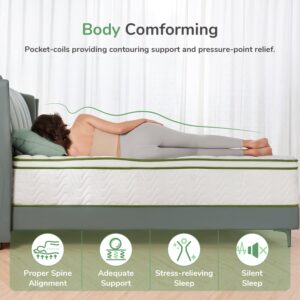 Novilla California King Mattress, 12 InchGel Memory Foam Hybrid Mattress with Pocketed Coil for Pressure Relief & Motion Isolation, Medium Firm Cali King Mattress in a Box, Amenity