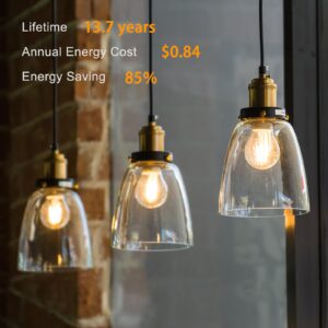 TJOY 12 Pack A19 Vintage LED Edison Bulbs, Dimmable Light Bulb 60W Equivalent, High Brightness 2700K Warm White, 7W E26 Standard Base, 800Lumens, CRI80+, Clear Glass Filament Bulb for Home, Farmhouse