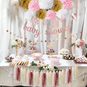 Kiwayo Baby Shower Decorations for Girl- Rose Gold Glitter Banner, Tissue Paper Poms, Round Dots Garland and Tassels Garland- Baby Girl Gender Reveal Birthday Party Decorations