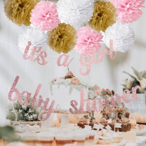 Kiwayo Baby Shower Decorations for Girl- Rose Gold Glitter Banner, Tissue Paper Poms, Round Dots Garland and Tassels Garland- Baby Girl Gender Reveal Birthday Party Decorations