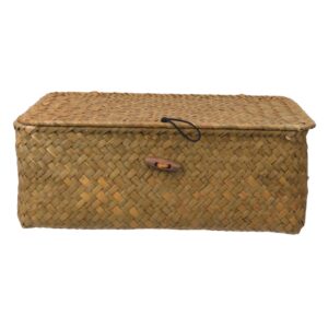 Garneck Rattan Storage Bins 2pcs Bin Storage Organizer Storage Bins with Lids Straw Basket with Lid Makeup Drawer Woven Basket Small Rattan Storage Organizer