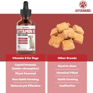 Vitamin B for Dogs | Vitamin B Complex for Dogs | Vitamin B12 for Dogs | Dog Vitamins | B12 Vitamins for Dogs | Vitamin B Dog Supplements | B Complex for Dogs | B12 for Dogs | Do1 fl oz: Bacon Flavor