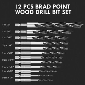 Brad Point Wood Drill Bit Set, 12Pcs Hex Shank Drill Bit Set with Double Flutes Design for Carpenter Woodworking and All Types of Wood (1/8" - 1/2")