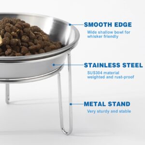 Elevated Cat Bowls Stainless Steel, 5.9 Inch Wide Raised Cat Bowls with Metal Stand Whisker Friendly, 2 Pack Anit-Vomiting Tilted Cat Food and Water Bowl Set for Cats, Kittens and Small Dogs