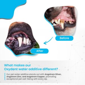 Oxydent Premium Pet Dental Care Solution - Pet Water Additive & Mouthwash for Teeth Cleaning - Eliminate Bad Dog & Cat Bad Breath - Dog Dental Rinse - Fights Tartar & Plaque