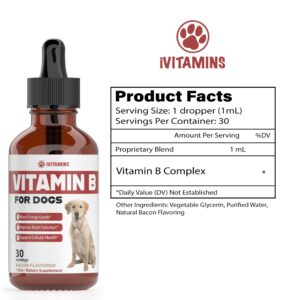 Vitamin B for Dogs | Vitamin B Complex for Dogs | Vitamin B12 for Dogs | Dog Vitamins | B12 Vitamins for Dogs | Vitamin B Dog Supplements | B Complex for Dogs | B12 for Dogs | Do1 fl oz: Bacon Flavor