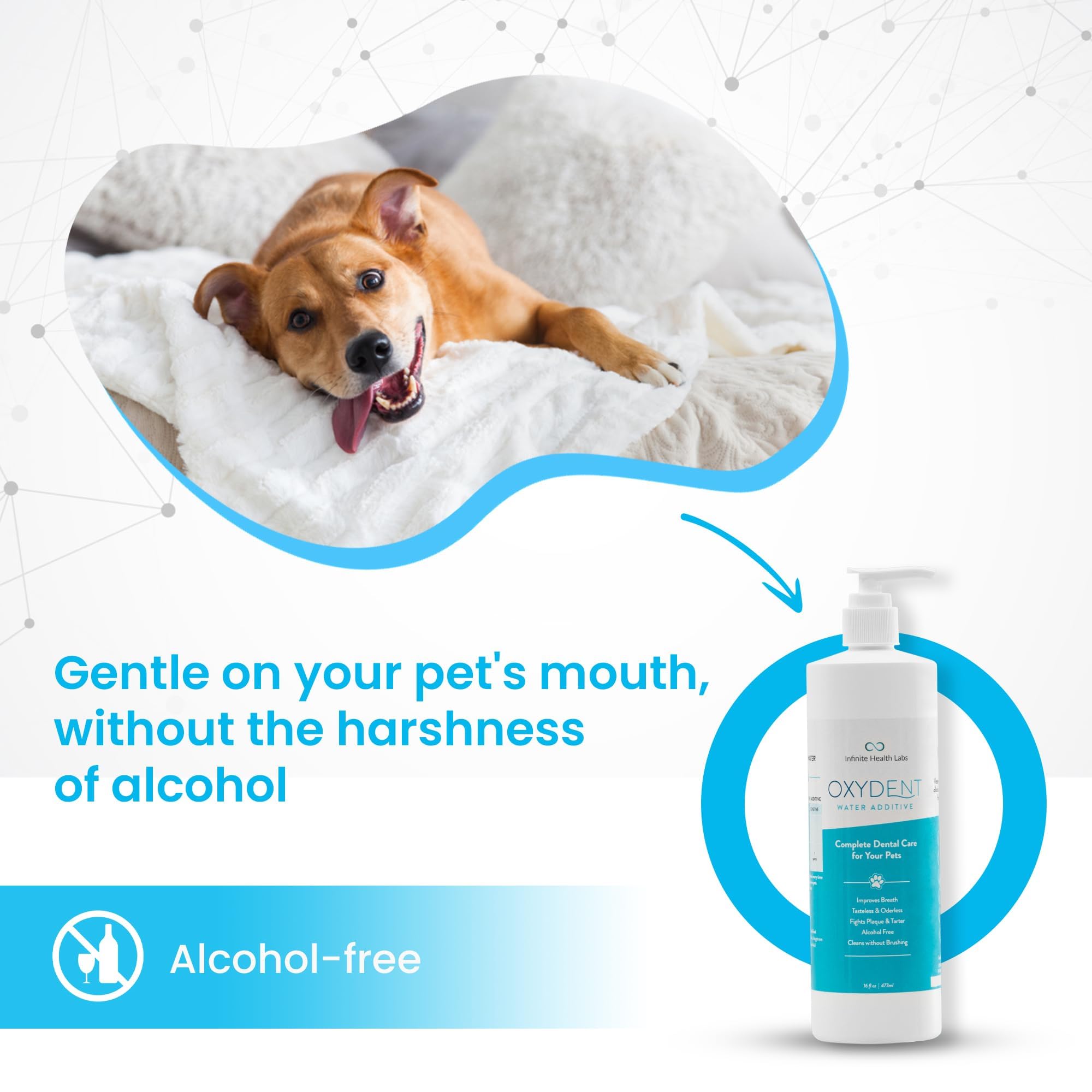 Oxydent Premium Pet Dental Care Solution - Pet Water Additive & Mouthwash for Teeth Cleaning - Eliminate Bad Dog & Cat Bad Breath - Dog Dental Rinse - Fights Tartar & Plaque