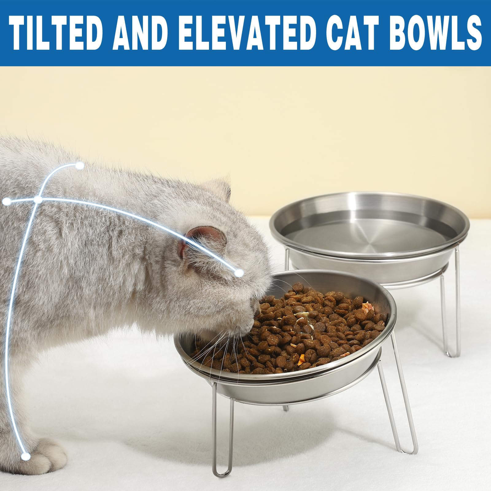 Elevated Cat Bowls Stainless Steel, 5.9 Inch Wide Raised Cat Bowls with Metal Stand Whisker Friendly, 2 Pack Anit-Vomiting Tilted Cat Food and Water Bowl Set for Cats, Kittens and Small Dogs