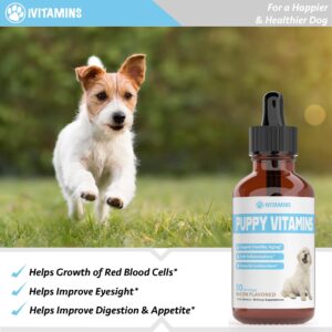 Puppy Vitamins | Puppy Supplements | Puppy Vitamins for Small Dogs | Puppy Vitamins Large Breed | Puppy Multivitamin | Puppy Vitamins and Supplements | Liquid Puppy Vitamins | 1 fl oz: Bacon Flavor