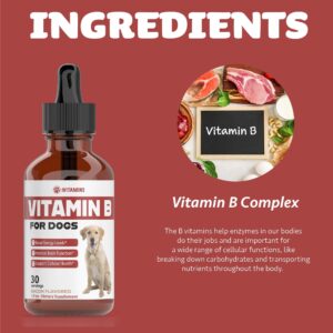 Vitamin B for Dogs | Vitamin B Complex for Dogs | Vitamin B12 for Dogs | Dog Vitamins | B12 Vitamins for Dogs | Vitamin B Dog Supplements | B Complex for Dogs | B12 for Dogs | Do1 fl oz: Bacon Flavor