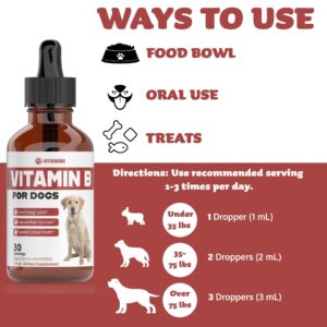 Vitamin B for Dogs | Vitamin B Complex for Dogs | Vitamin B12 for Dogs | Dog Vitamins | B12 Vitamins for Dogs | Vitamin B Dog Supplements | B Complex for Dogs | B12 for Dogs | Do1 fl oz: Bacon Flavor