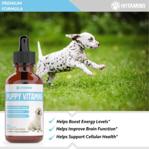 Puppy Vitamins | Puppy Supplements | Puppy Vitamins for Small Dogs | Puppy Vitamins Large Breed | Puppy Multivitamin | Puppy Vitamins and Supplements | Liquid Puppy Vitamins | 1 fl oz: Bacon Flavor