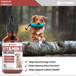 Vitamin B for Dogs | Vitamin B Complex for Dogs | Vitamin B12 for Dogs | Dog Vitamins | B12 Vitamins for Dogs | Vitamin B Dog Supplements | B Complex for Dogs | B12 for Dogs | Do1 fl oz: Bacon Flavor