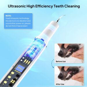 AAU Dog Plaque/Tartar Remover for Teeth - Rechargeable Safe Pets Ultrasonic OLED Screen Tooth Brushing Kit for Canine/Cat/Dog Teeth Cleaning, with Canident Dog Tartar Remover, 3 Replacement Heads