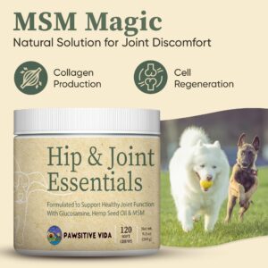 Pawsitive Vida Dog Joint Supplement - Hip and Joint Relief for Dogs - Glucosamine, Hemp Seed Oil, Chondroitin, & MSM + Vitamins – 120 Chews