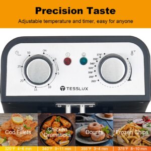 Tesslux Electric Deep Fryer with Basket for Home Use, Lid with Viewing Window and Odorless Filter, Adjustable Temperature, 5.3 Quart, Stainless Steel