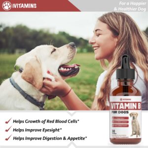 Vitamin B for Dogs | Vitamin B Complex for Dogs | Vitamin B12 for Dogs | Dog Vitamins | B12 Vitamins for Dogs | Vitamin B Dog Supplements | B Complex for Dogs | B12 for Dogs | Do1 fl oz: Bacon Flavor