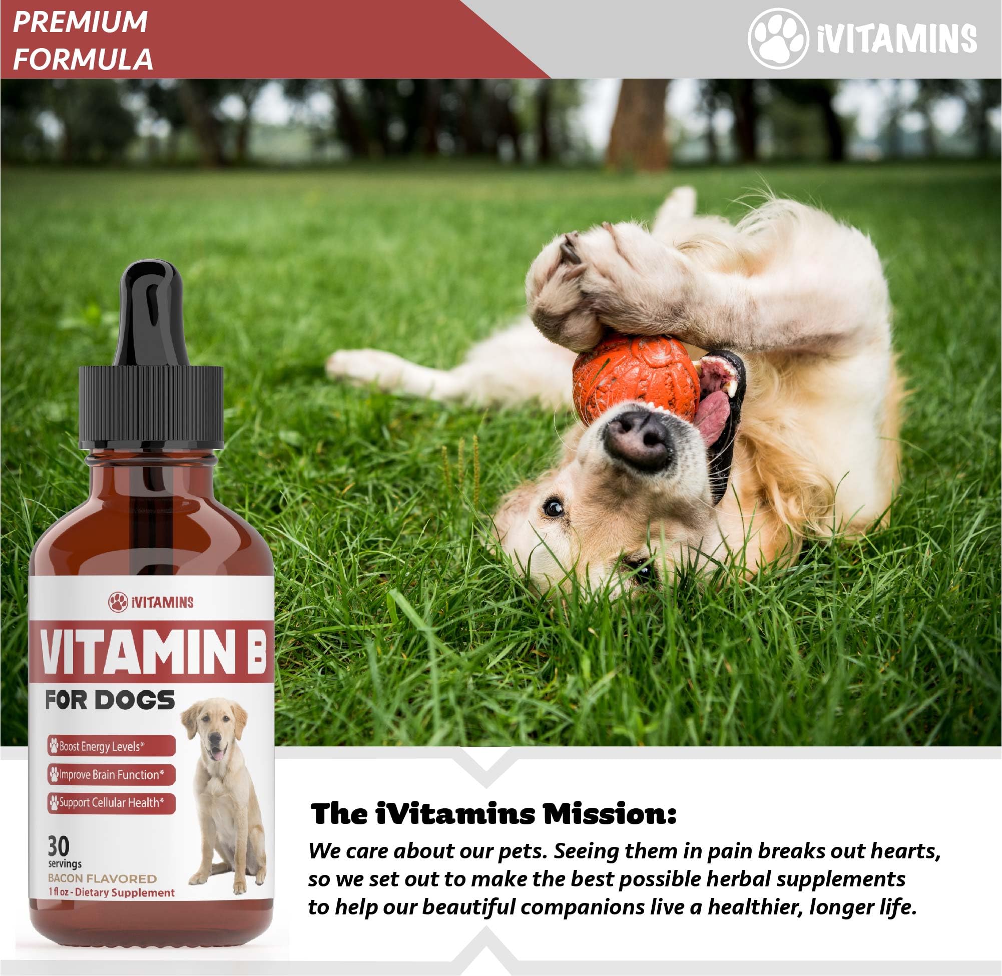 Vitamin B for Dogs | Vitamin B Complex for Dogs | Vitamin B12 for Dogs | Dog Vitamins | B12 Vitamins for Dogs | Vitamin B Dog Supplements | B Complex for Dogs | B12 for Dogs | Do1 fl oz: Bacon Flavor