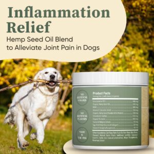 Pawsitive Vida Dog Joint Supplement - Hip and Joint Relief for Dogs - Glucosamine, Hemp Seed Oil, Chondroitin, & MSM + Vitamins – 120 Chews