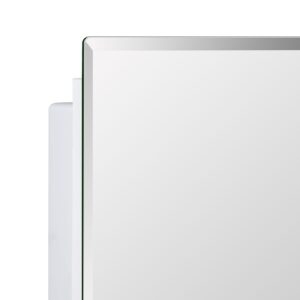 IDYLLOR Plastic Medicine Mirror Cabinet for Bathroom 16 x 20 inch, Surface and Recessed Mount