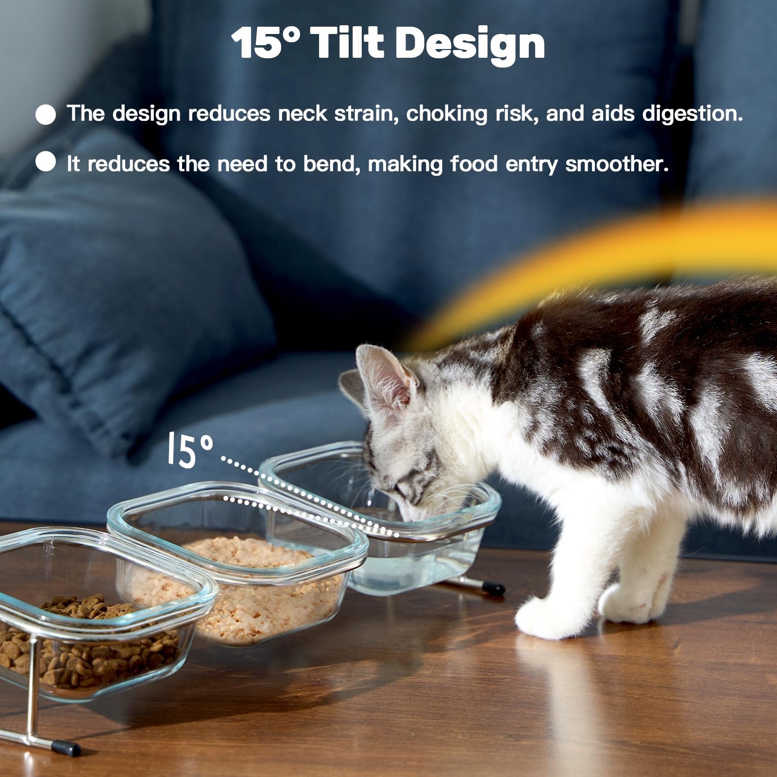 Hannadepot Elevated Cat Bowls, 15° Tilted Glass Raised Cat Food Bowl with Stainless Steel Stand, 3 Glass Cat Bowls and 4 Anti Slip Feet, Suitable for Cats and Little Dogs