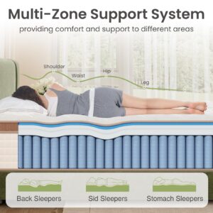 Full Mattress 14 Inch - Superior Hybrid Mattress In a Box for Back & Lumbar Support, 100 Night Trial, Individual Pocket Spring Firm Bed for Motion Isolation & Pressure Relief, CertiPUR-US Certified