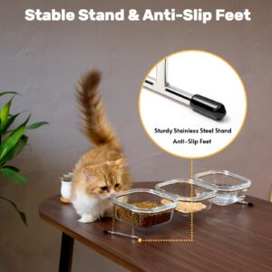 Hannadepot Elevated Cat Bowls, 15° Tilted Glass Raised Cat Food Bowl with Stainless Steel Stand, 3 Glass Cat Bowls and 4 Anti Slip Feet, Suitable for Cats and Little Dogs