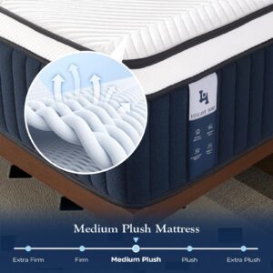 California King Mattress, DIGLANT 14Inch Hybrid Soft Medium Plush Memory Foam Mattress with 7-Zone Individual Pocket Springs, Mattress in a Box for Supportive & Pressure Relief, CertiPUR-US Certified