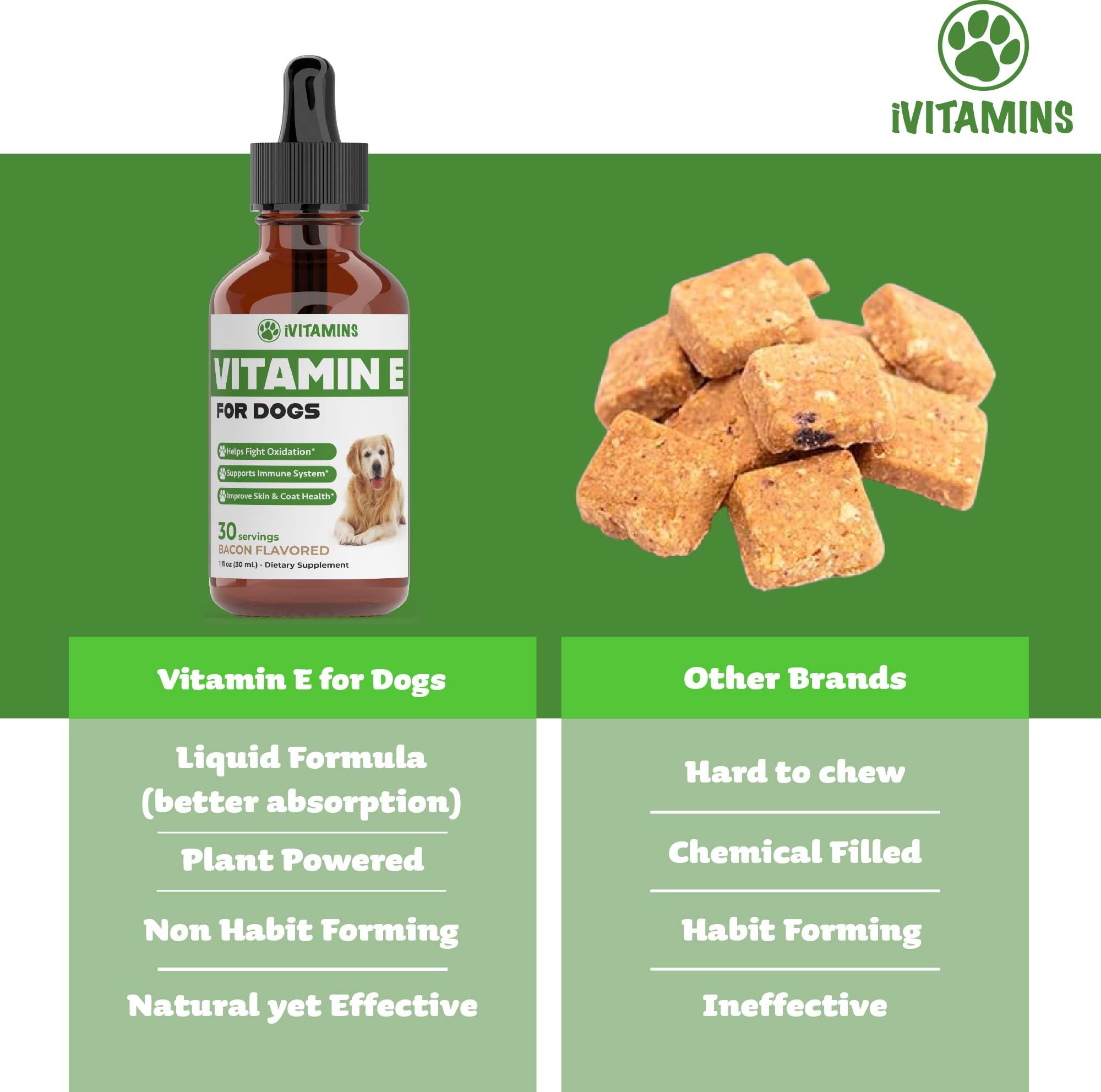 Vitamin E for Dogs | Vitamin E Dog | Vitamin E for Dog | Dog Vitamins E | Vitamin E Canine | Vitamin E Supplement for Dogs | Vitamin E Oil Dog | Dog Vitamins | Dog Immune Support | 1 fl oz