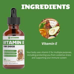 Vitamin E for Dogs | Vitamin E Dog | Vitamin E for Dog | Dog Vitamins E | Vitamin E Canine | Vitamin E Supplement for Dogs | Vitamin E Oil Dog | Dog Vitamins | Dog Immune Support | 1 fl oz