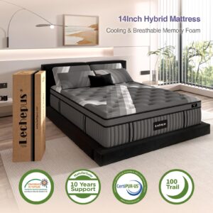 Lechepus Full Mattress, 14Inch Plush Soft Memory Foam Hybrid Mattress, Full Size Memory Foam with Pocket Spring Mattresses, Supportive Mattress in Box for Pressure Relief, CertiPUR-US, 10 Years