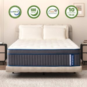 Lechepus King Mattress, 14Inch Gel Memory Foam with 7-Zone Pocket Spring Mattress King Size, Cooling Sleep and Pressure Relief, Medium Plush Hybrid Mattresses in Box for Motion Isolation,CertiPUR-US