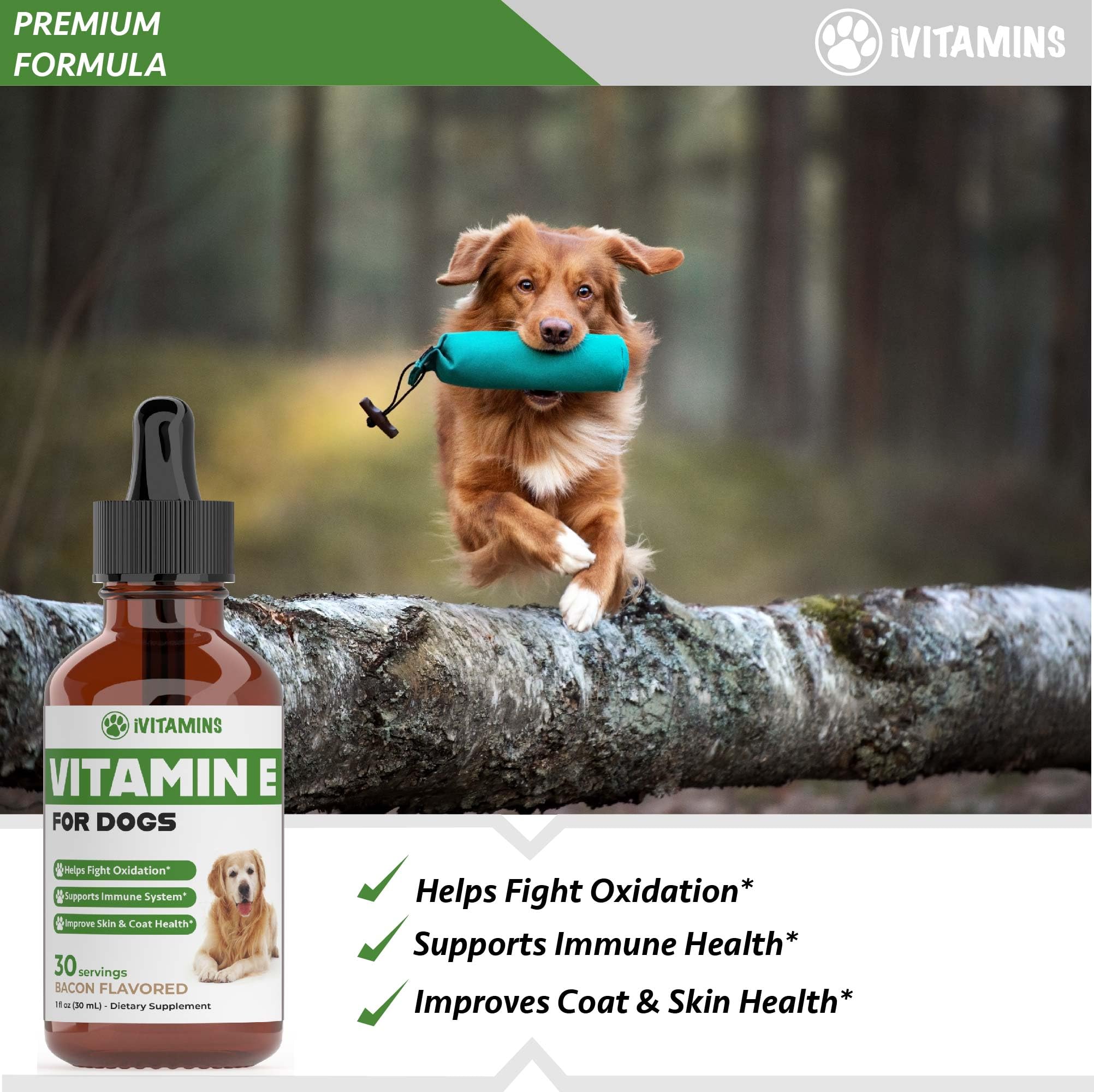 Vitamin E for Dogs | Vitamin E Dog | Vitamin E for Dog | Dog Vitamins E | Vitamin E Canine | Vitamin E Supplement for Dogs | Vitamin E Oil Dog | Dog Vitamins | Dog Immune Support | 1 fl oz