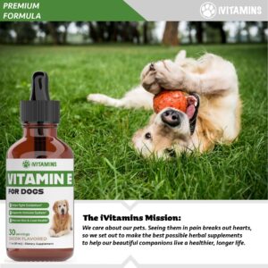 Vitamin E for Dogs | Vitamin E Dog | Vitamin E for Dog | Dog Vitamins E | Vitamin E Canine | Vitamin E Supplement for Dogs | Vitamin E Oil Dog | Dog Vitamins | Dog Immune Support | 1 fl oz