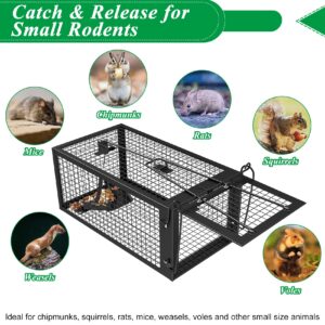 2 Packs Humane Rat Trap Outdoor Mouse Traps Indoor Use, Rodent Chipmunk Traps for Small Live Animal Catch and Release - Black