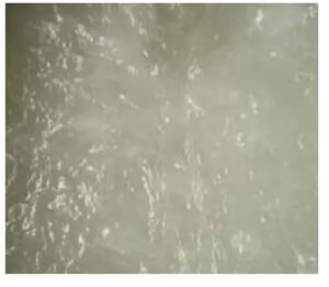 sles 70% industrial soap base - 1 gallon