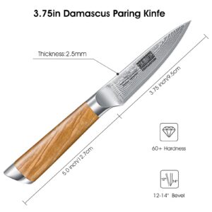 HOSHANHO Damascus Paring Knife 3.75 Inch, Professional 67 Layers Damascus Super Steel Small Fruit Knife, Super Sharp Hand Forged Japanese Paring Knife