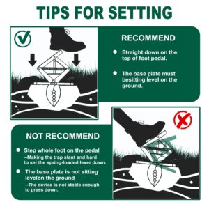 Upgraded Mole Trap Scissor, Mole Traps for Lawns That Kill Best, Easy Step Setup