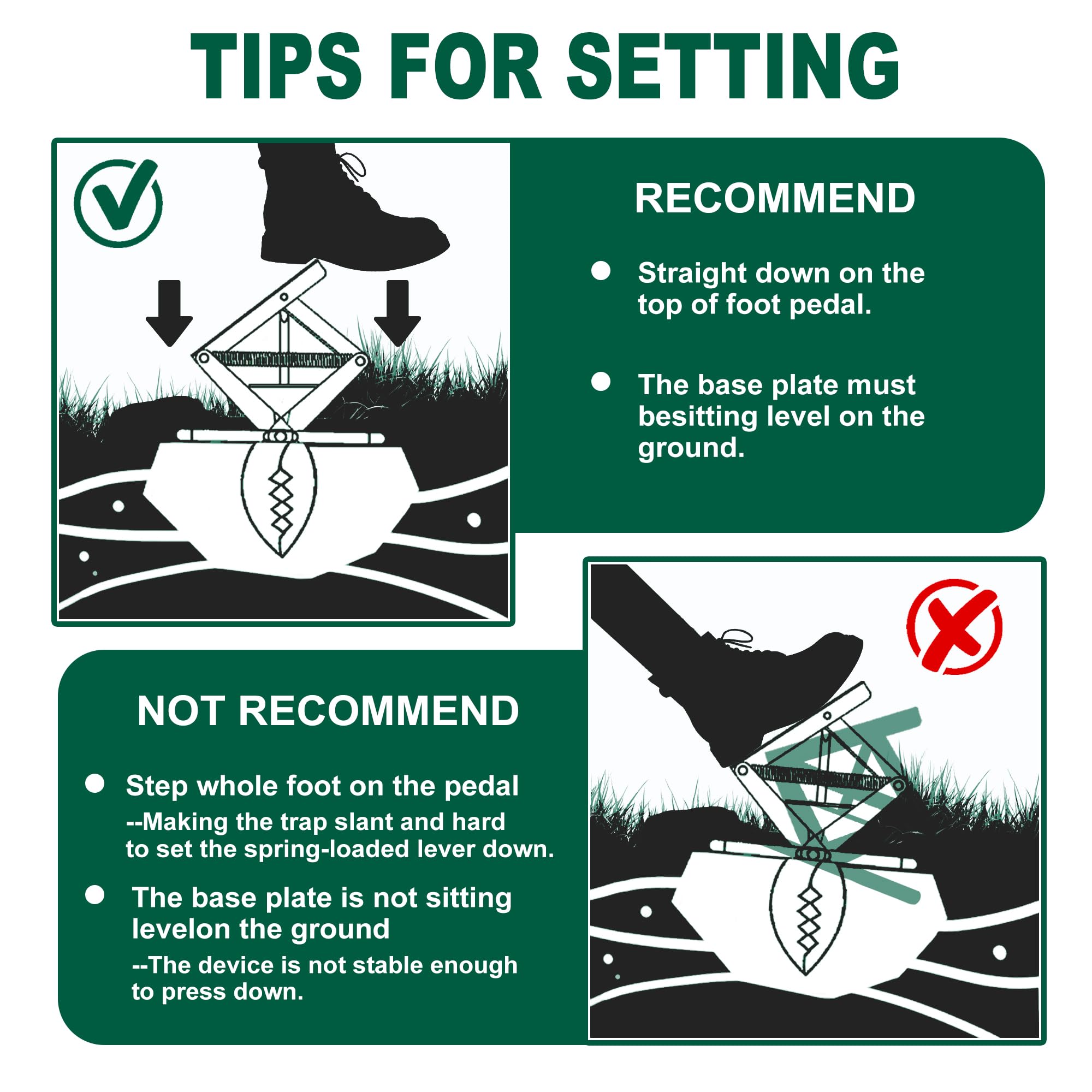 Upgraded Mole Trap Scissor, Mole Traps for Lawns That Kill Best, Easy Step Setup