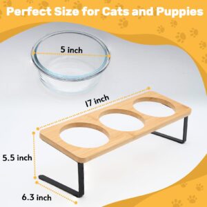 Lawfery Elevated Cat Bowls, 15° Tilted Cat Food Bowl, Includes 3 Glass Cat Bowls, Bamboo Board, and Metal Stand for Cats and Puppies