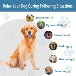 Calming Chews for Dogs Treats, Hemp Calming Dog Anxiety Relief Natural Ingredients, Helps with Dog Anxiety, Stress Relief, Separation, Barking, Thunderstorms