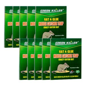 10-Pack Large Mouse Glue Traps with Enhanced Stickiness, Rat Snake Sticky Pad Board for House Indoor Outdoor, Easy to Set, Extra Large