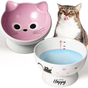 aisbugur ceramic cat bowls set of 2, elevated 15 tilted design for indoor cats, large capacity, easy to clean, non-slip base, cute pattern,pink